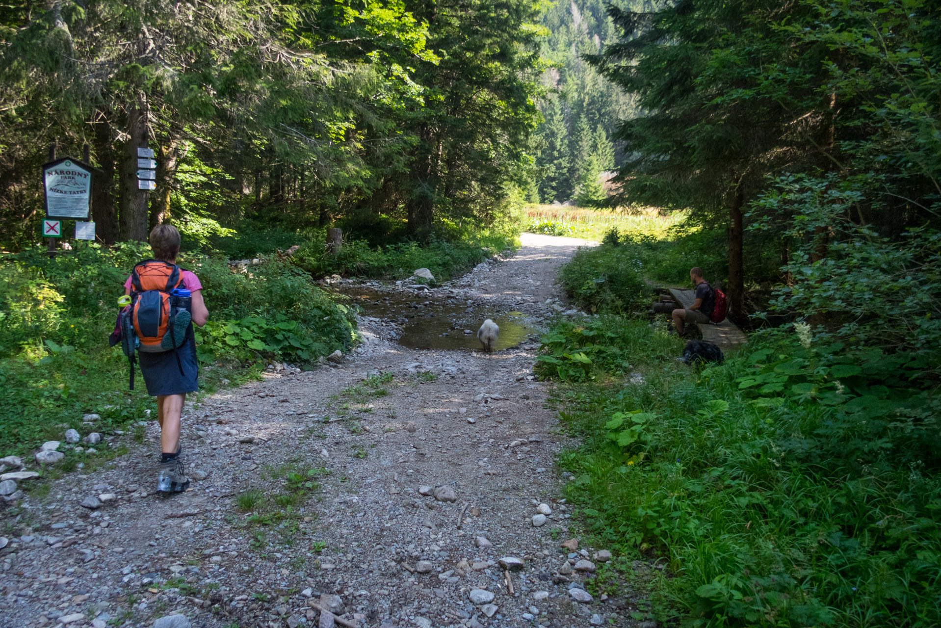 Vajskovský vodopád z Črmného (Nízke Tatry)