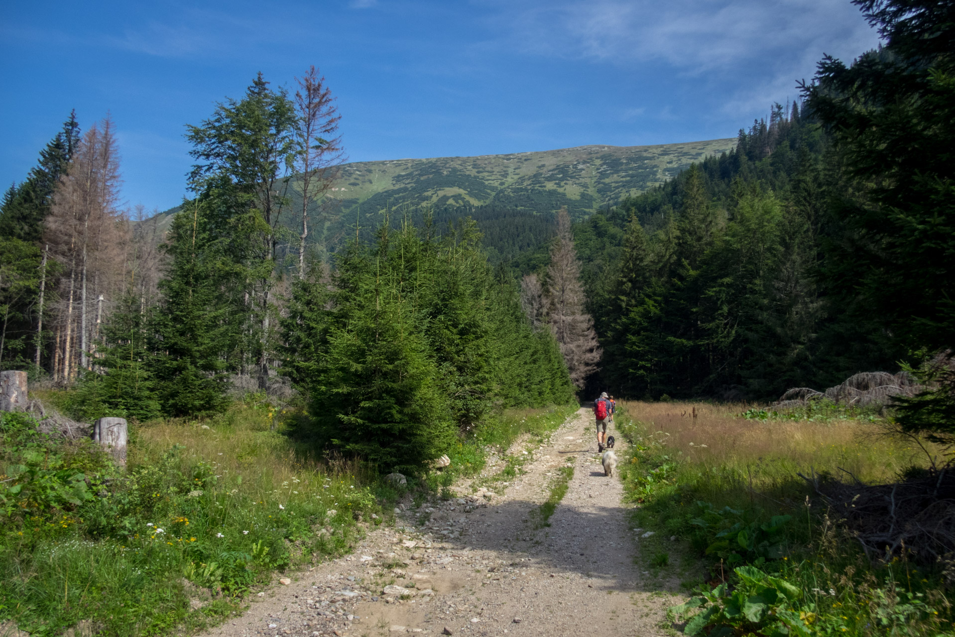 Vajskovský vodopád z Črmného (Nízke Tatry)