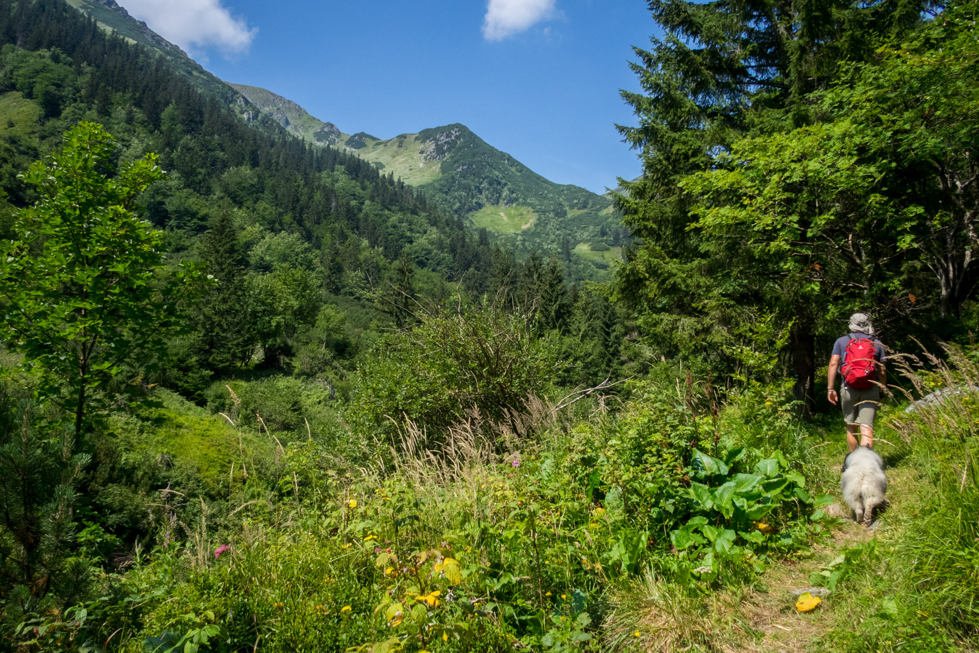 Vajskovský vodopád z Črmného (Nízke Tatry)