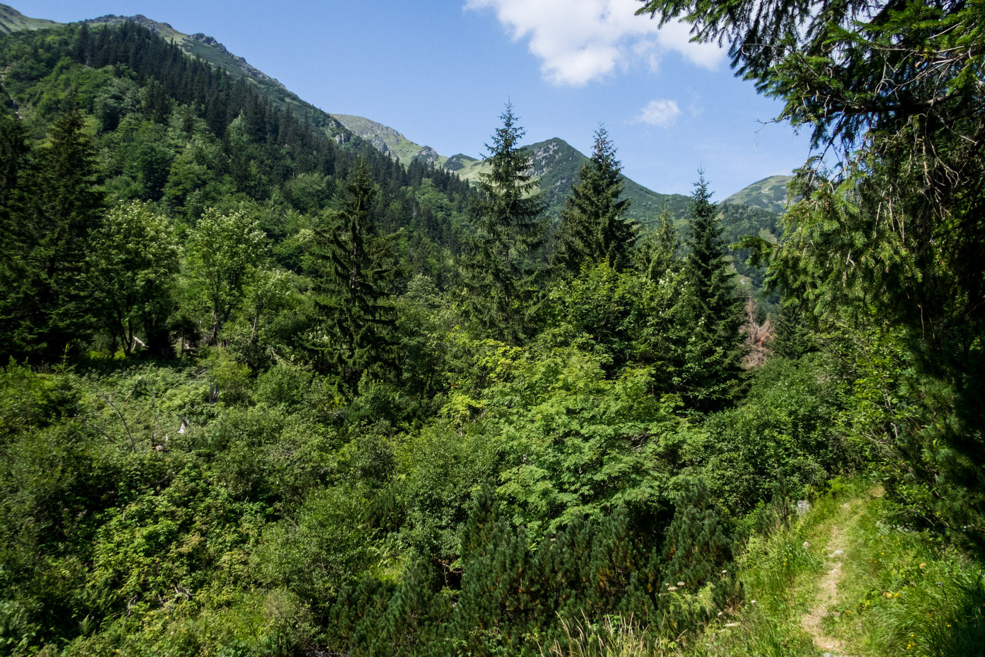 Vajskovský vodopád z Črmného (Nízke Tatry)