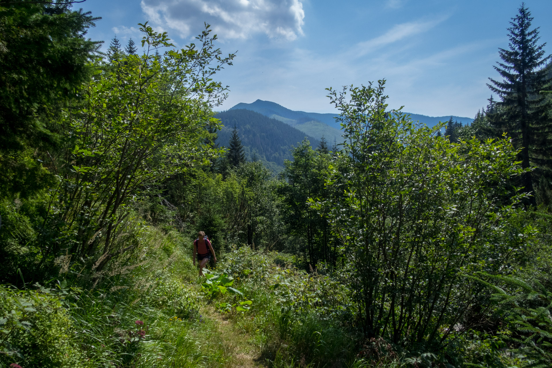 Vajskovský vodopád z Črmného (Nízke Tatry)