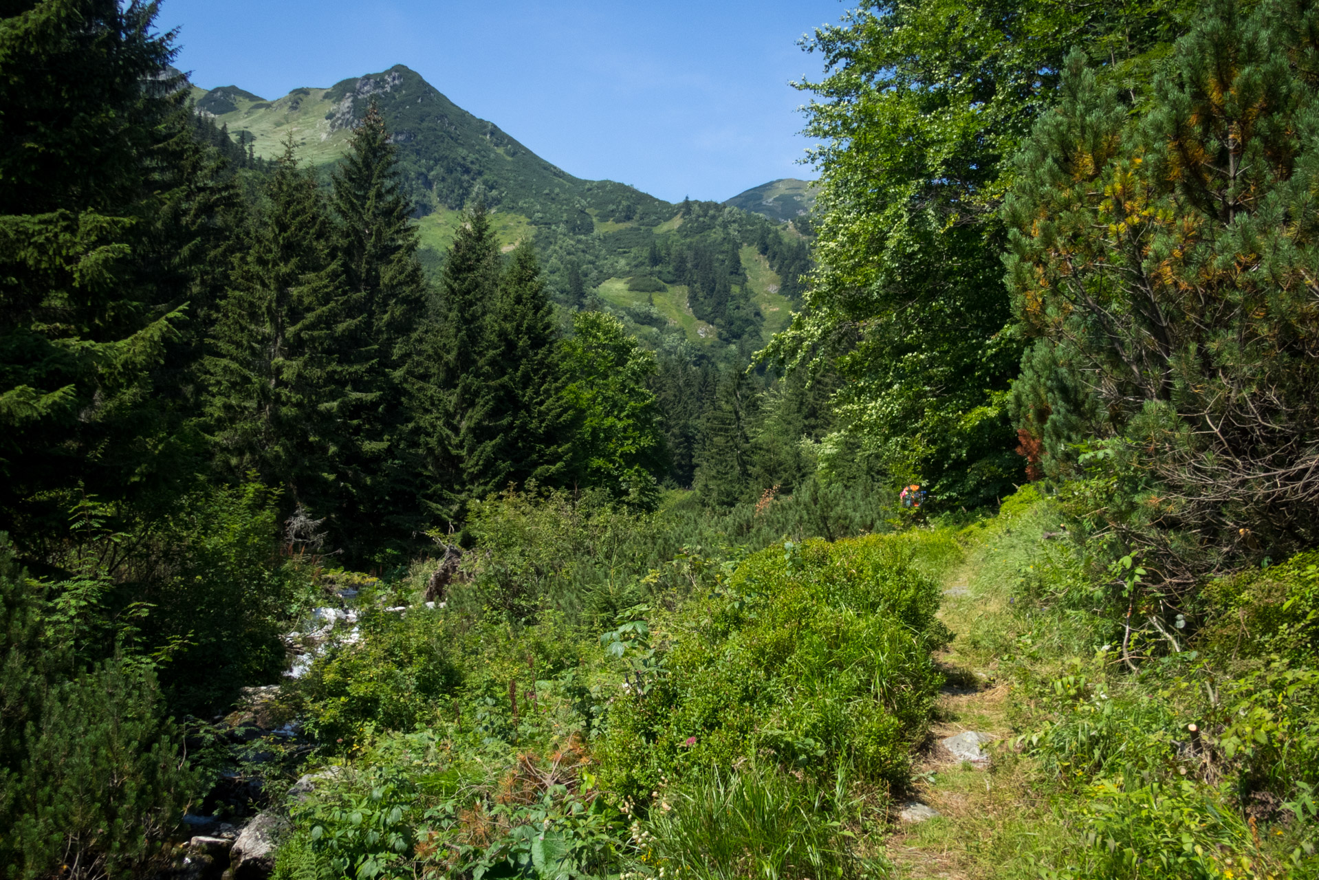 Vajskovský vodopád z Črmného (Nízke Tatry)