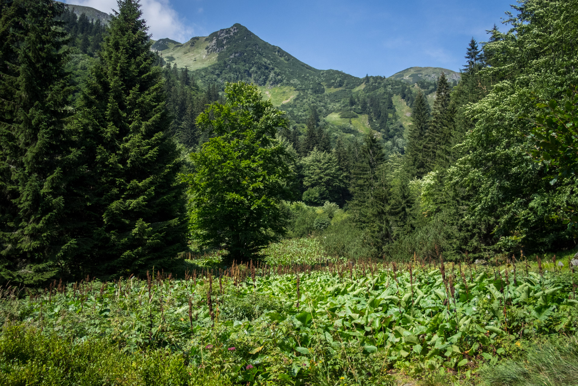 Vajskovský vodopád z Črmného (Nízke Tatry)