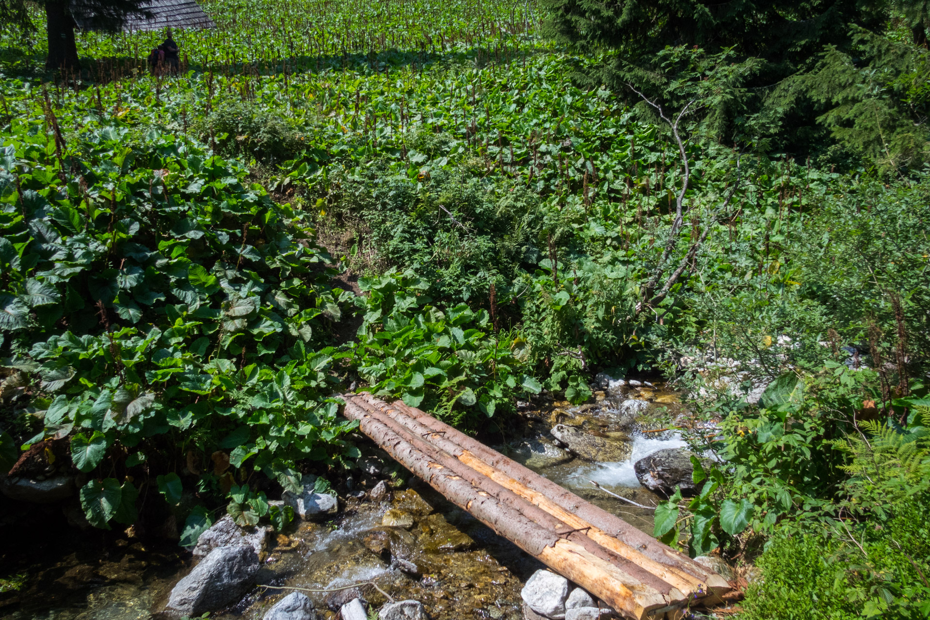 Vajskovský vodopád z Črmného (Nízke Tatry)