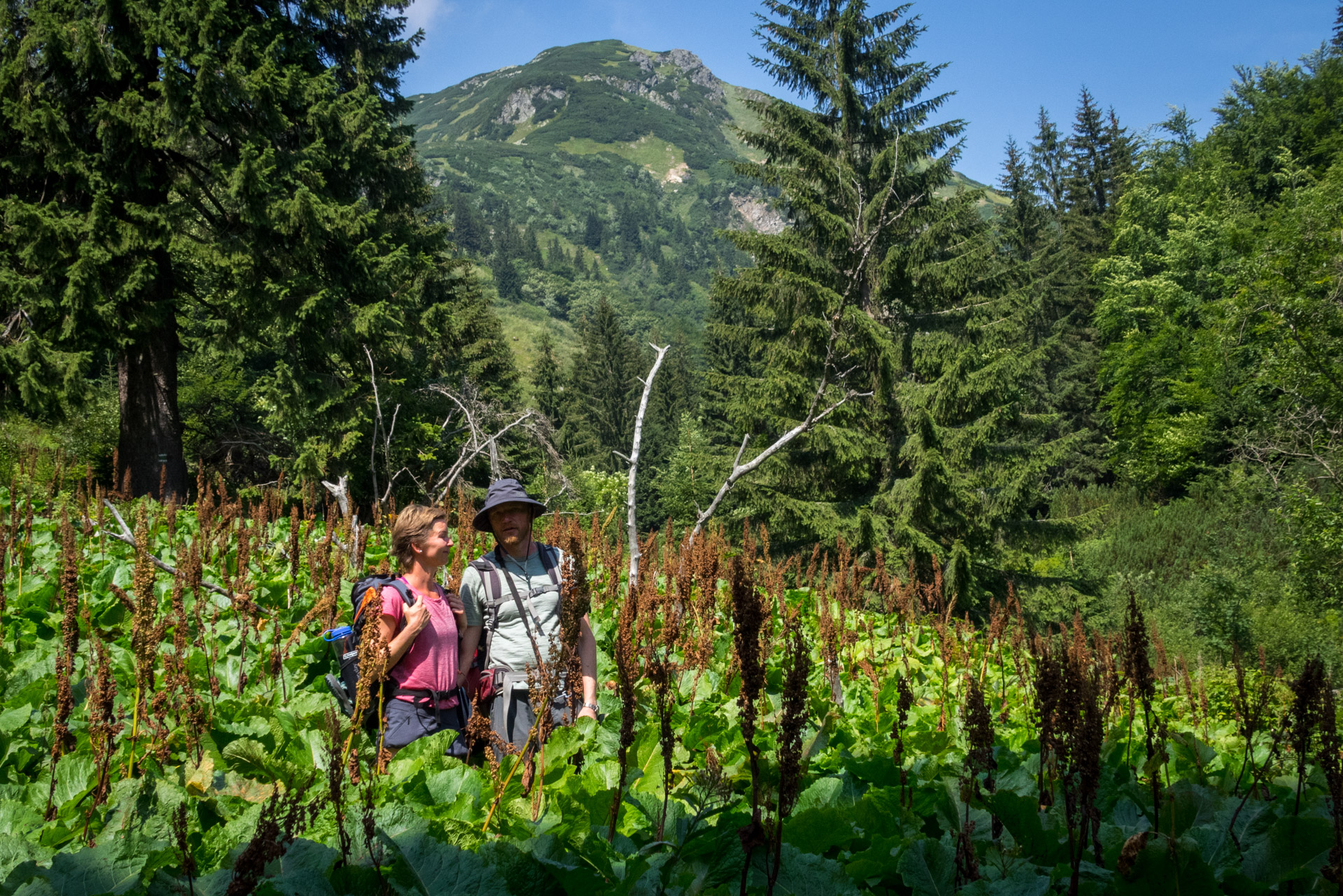 Vajskovský vodopád z Črmného (Nízke Tatry)