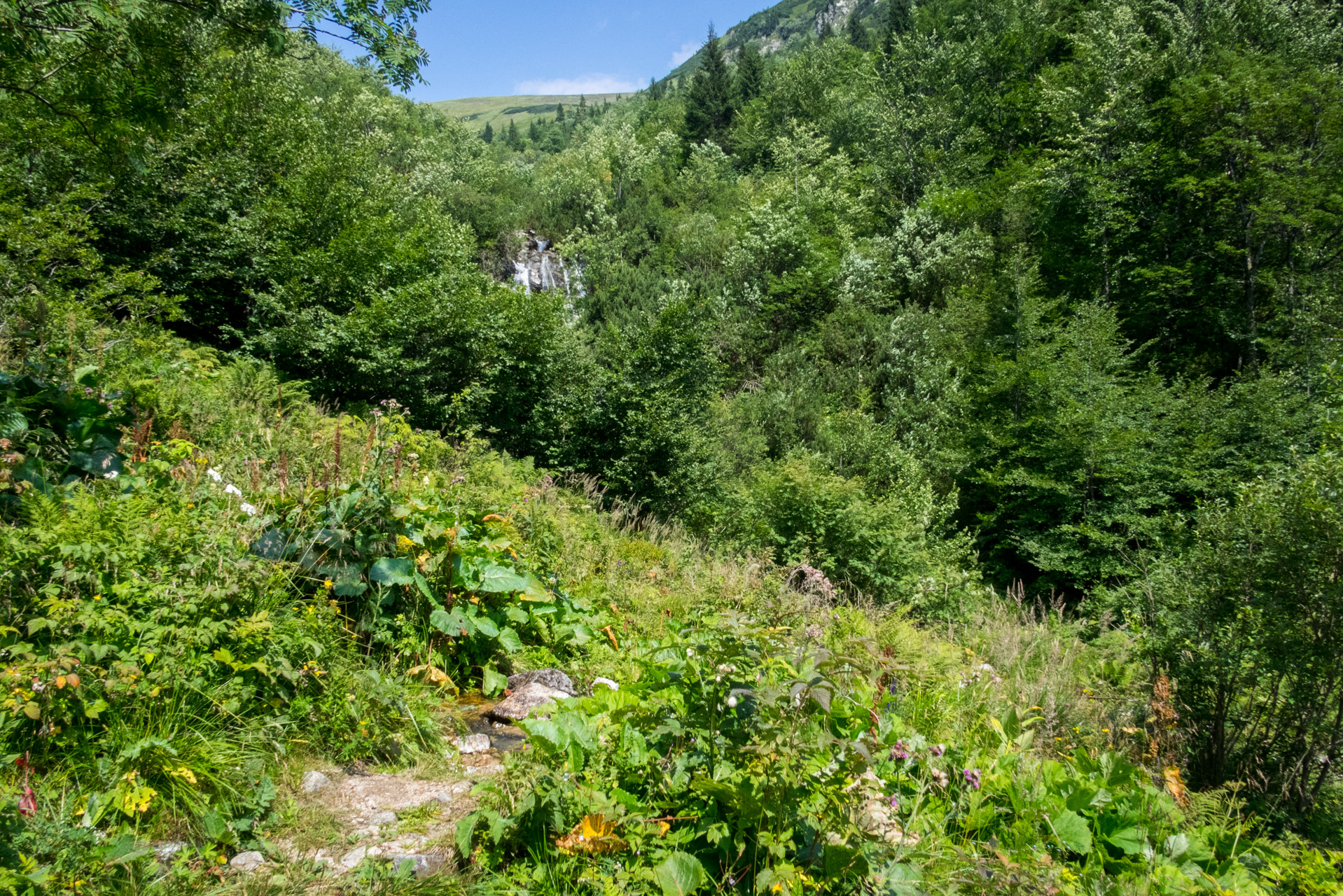 Vajskovský vodopád z Črmného (Nízke Tatry)