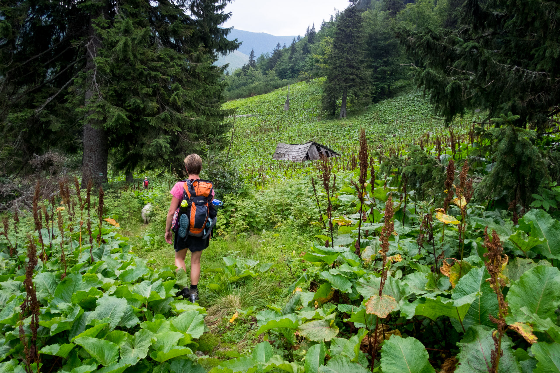 Vajskovský vodopád z Črmného (Nízke Tatry)