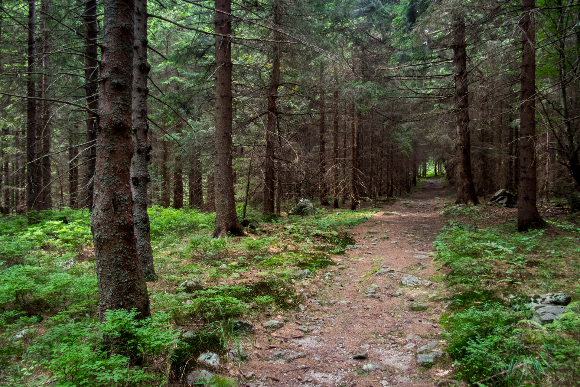 Vajskovský vodopád z Črmného (Nízke Tatry)