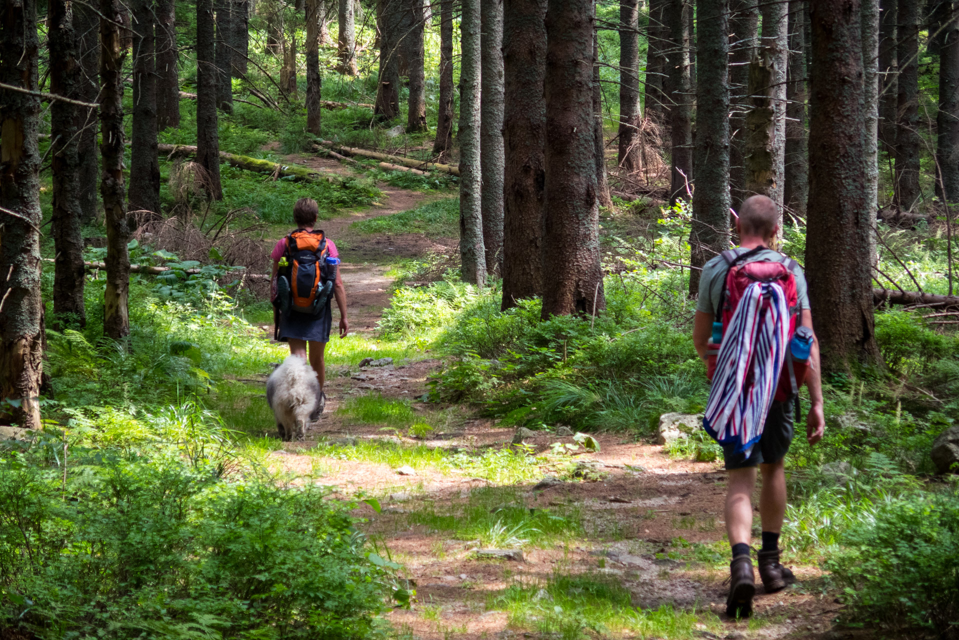 Vajskovský vodopád z Črmného (Nízke Tatry)