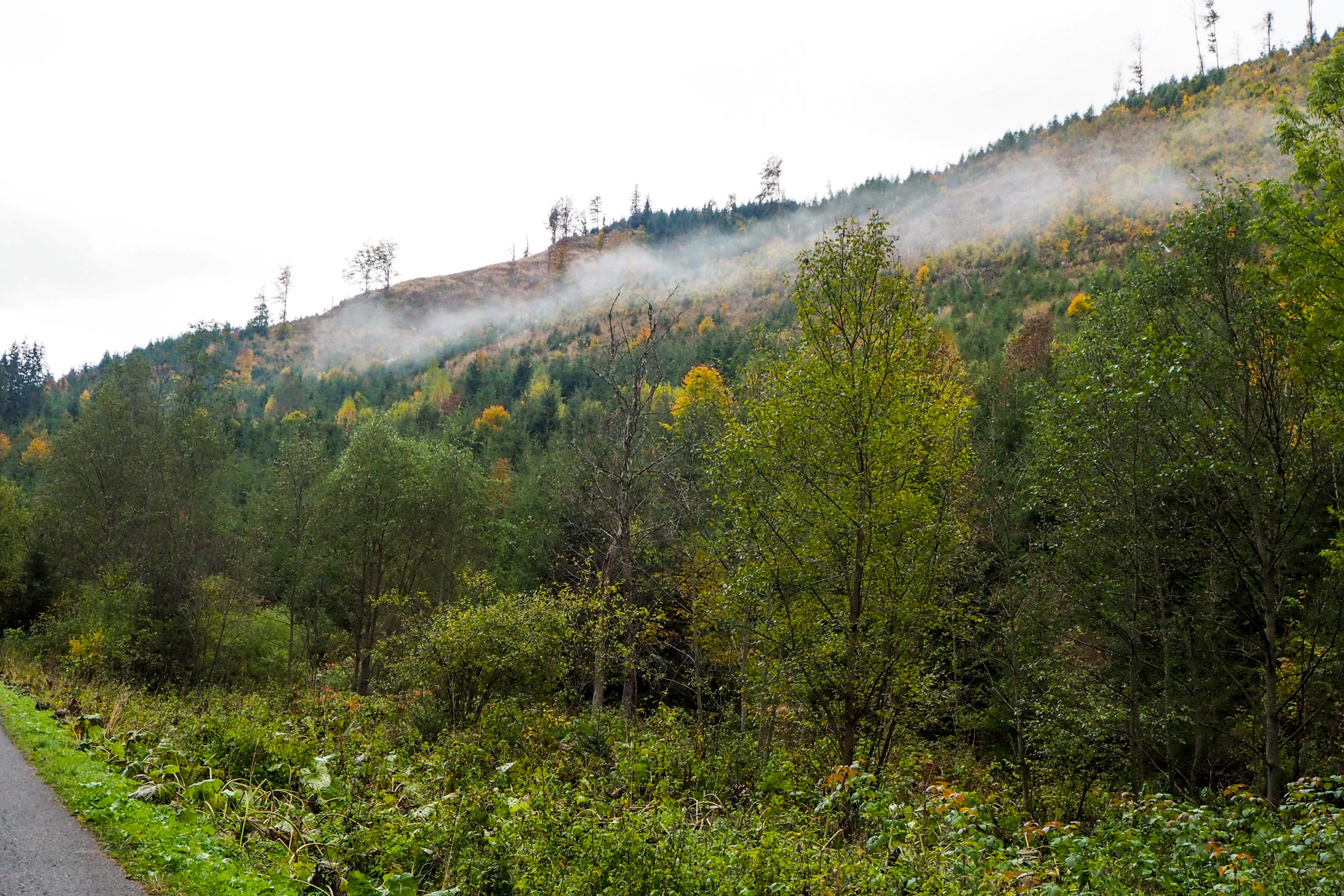 Veľký Bok z Malužinej (Nízke Tatry)