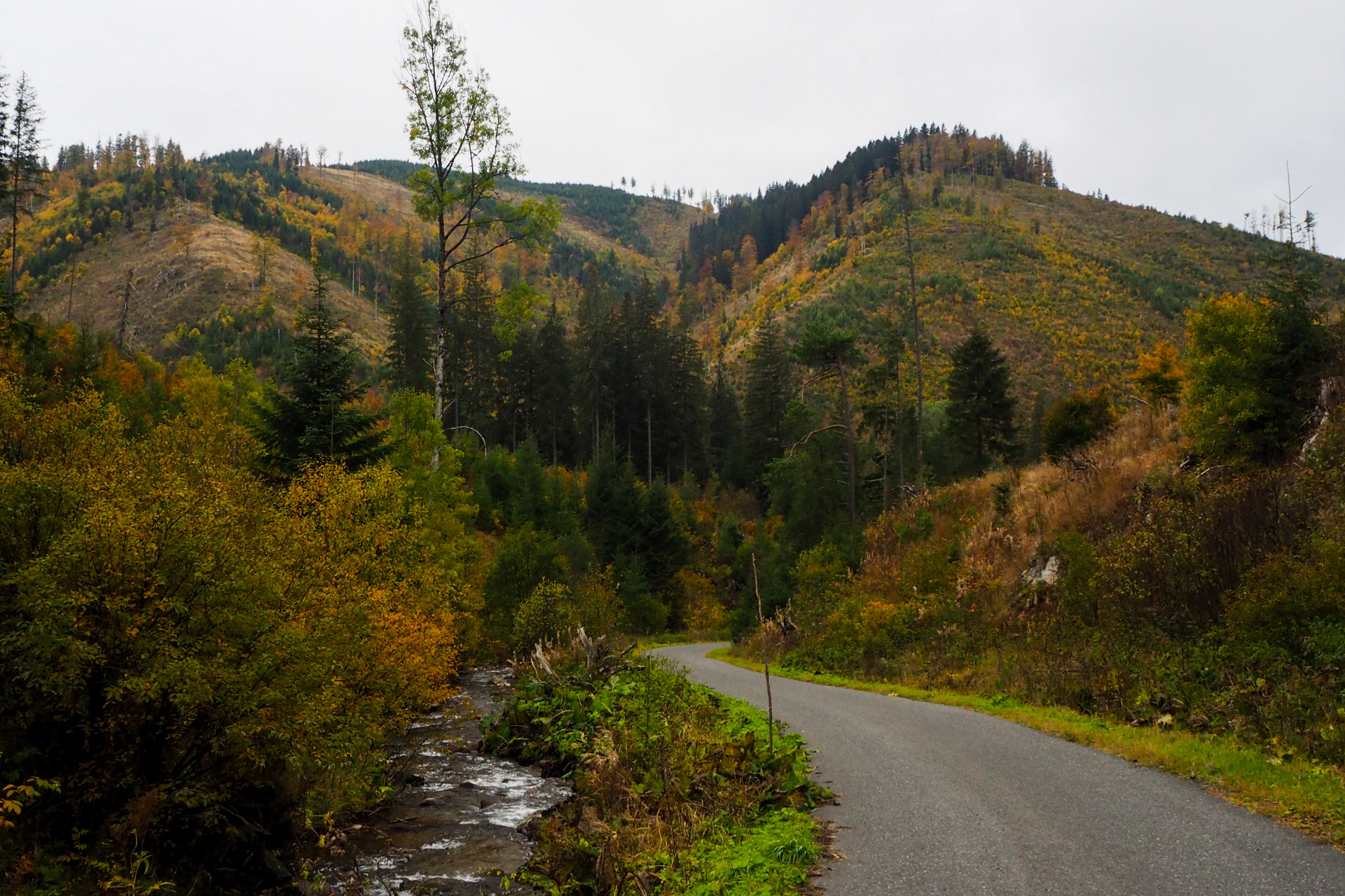 Veľký Bok z Malužinej (Nízke Tatry)