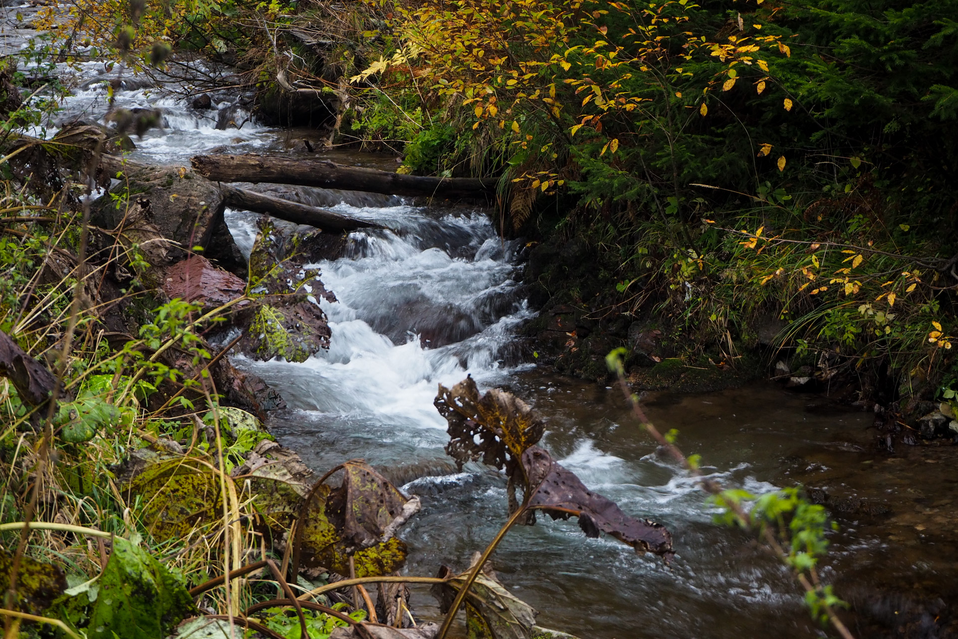 Veľký Bok z Malužinej (Nízke Tatry)