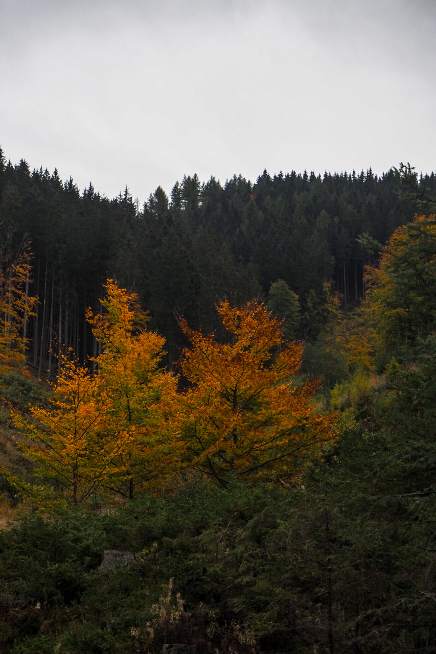 Veľký Bok z Malužinej (Nízke Tatry)