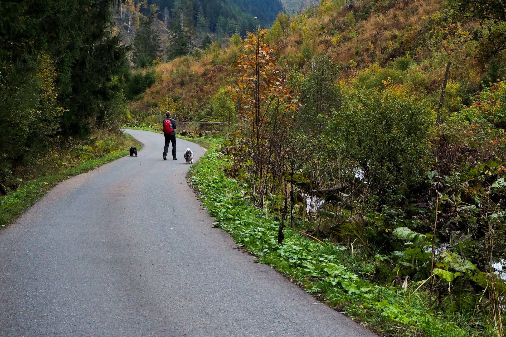 Veľký Bok z Malužinej (Nízke Tatry)