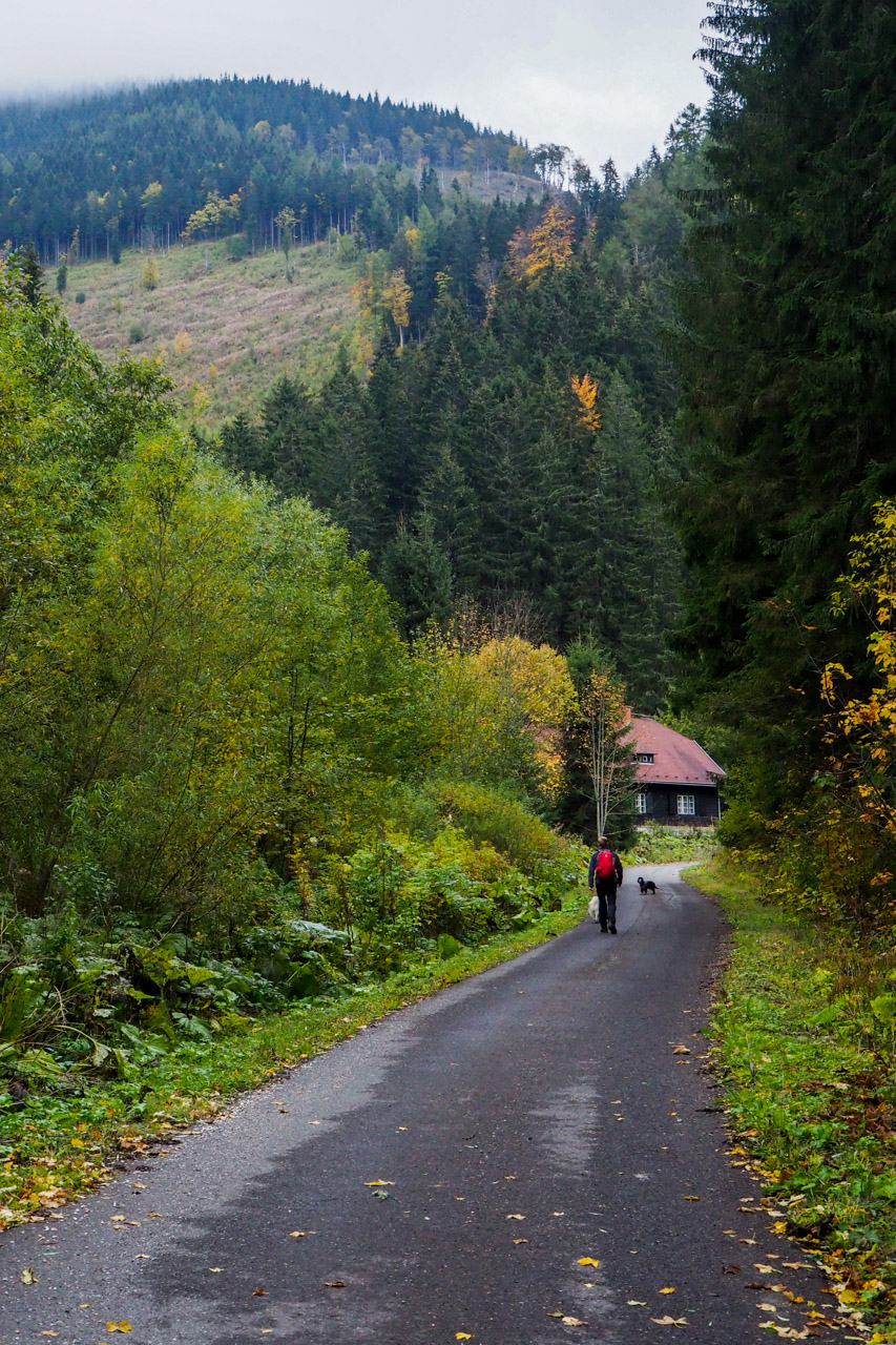 Veľký Bok z Malužinej (Nízke Tatry)