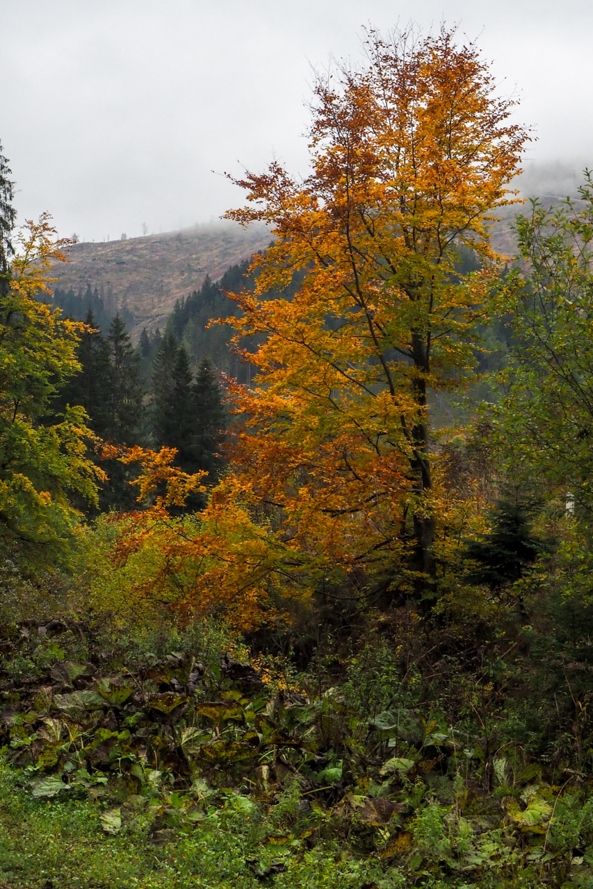 Veľký Bok z Malužinej (Nízke Tatry)