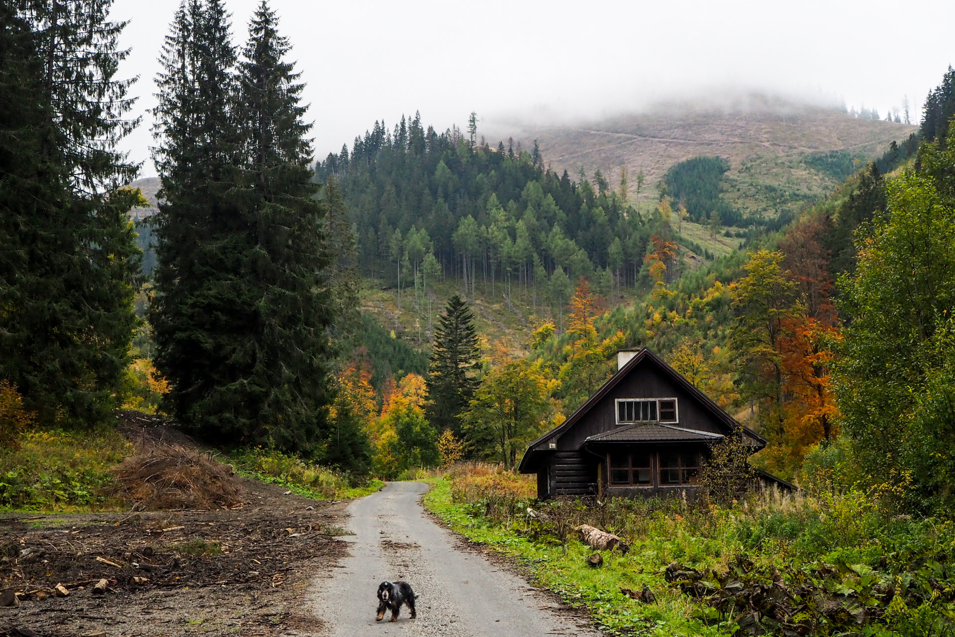 Veľký Bok z Malužinej (Nízke Tatry)