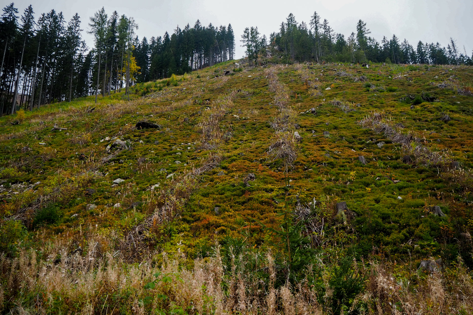 Veľký Bok z Malužinej (Nízke Tatry)