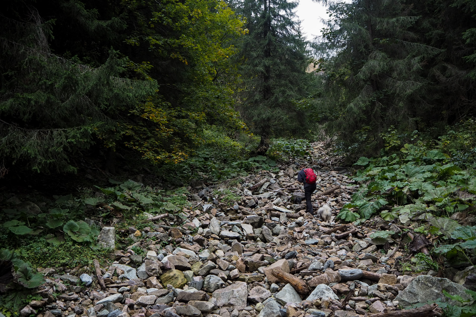 Veľký Bok z Malužinej (Nízke Tatry)