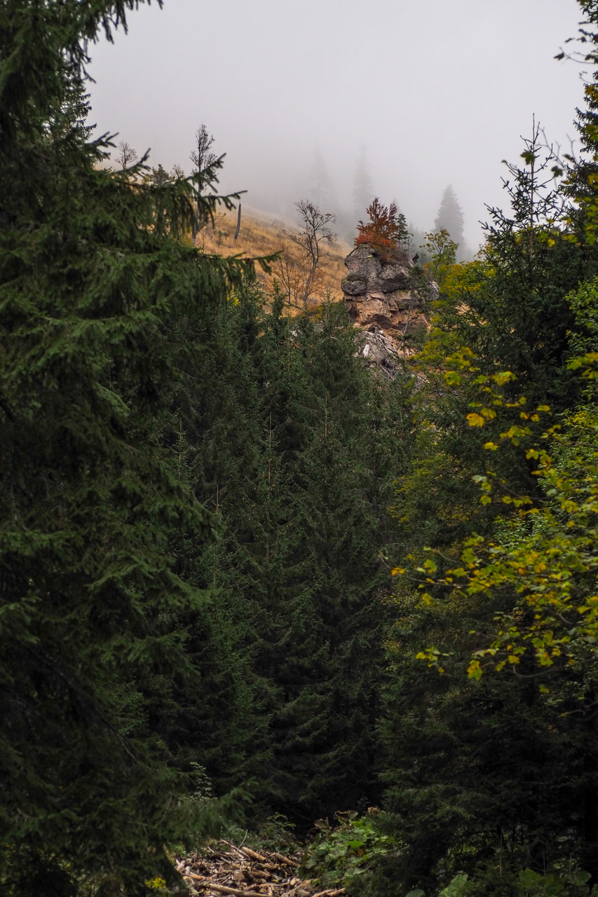 Veľký Bok z Malužinej (Nízke Tatry)