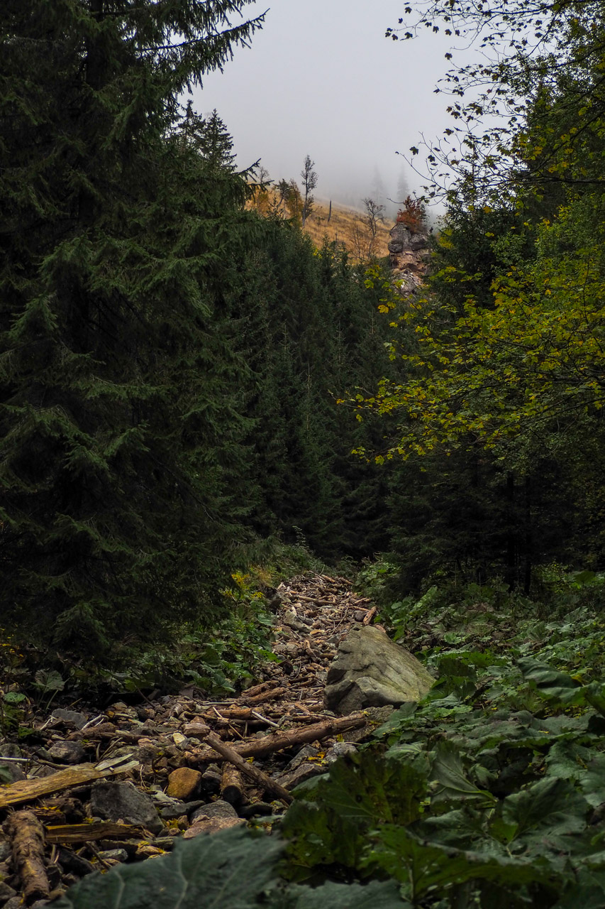 Veľký Bok z Malužinej (Nízke Tatry)