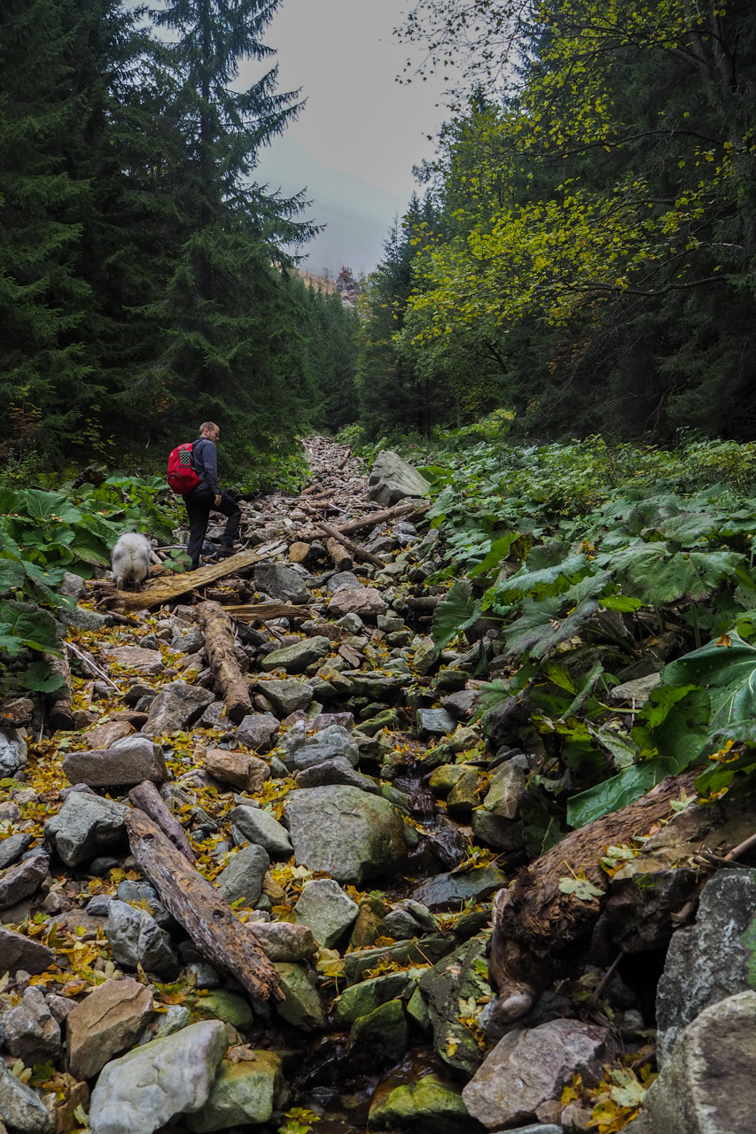 Veľký Bok z Malužinej (Nízke Tatry)