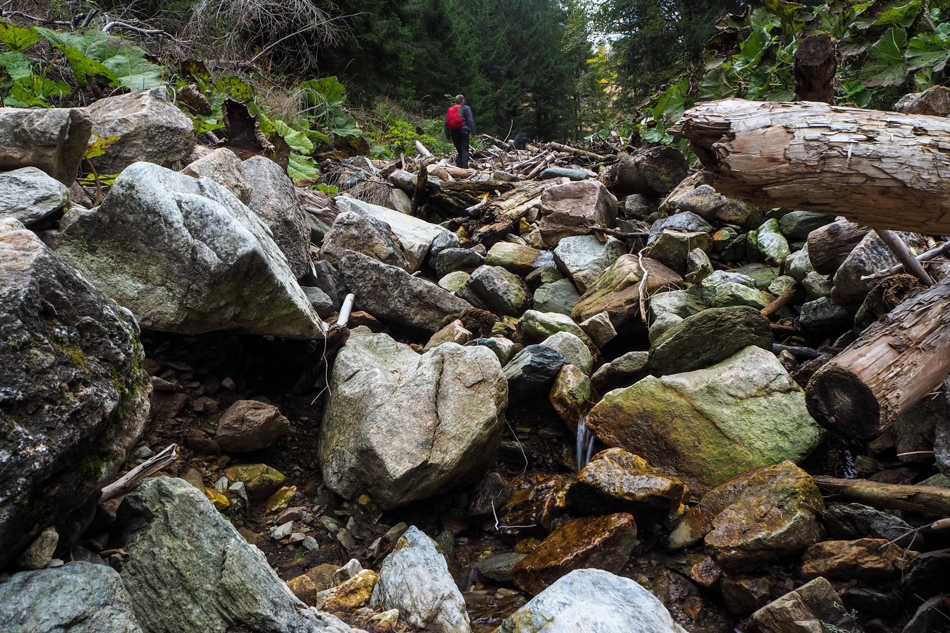 Veľký Bok z Malužinej (Nízke Tatry)