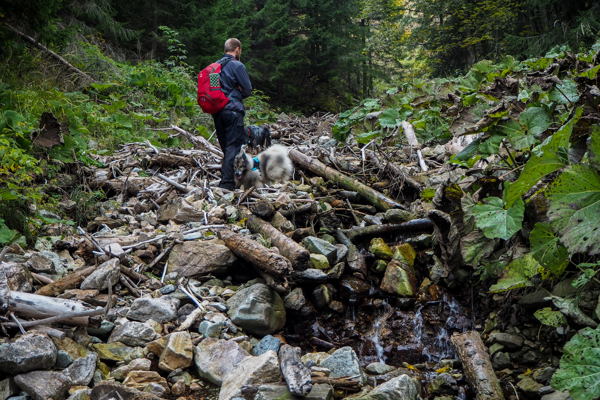 Veľký Bok z Malužinej (Nízke Tatry)