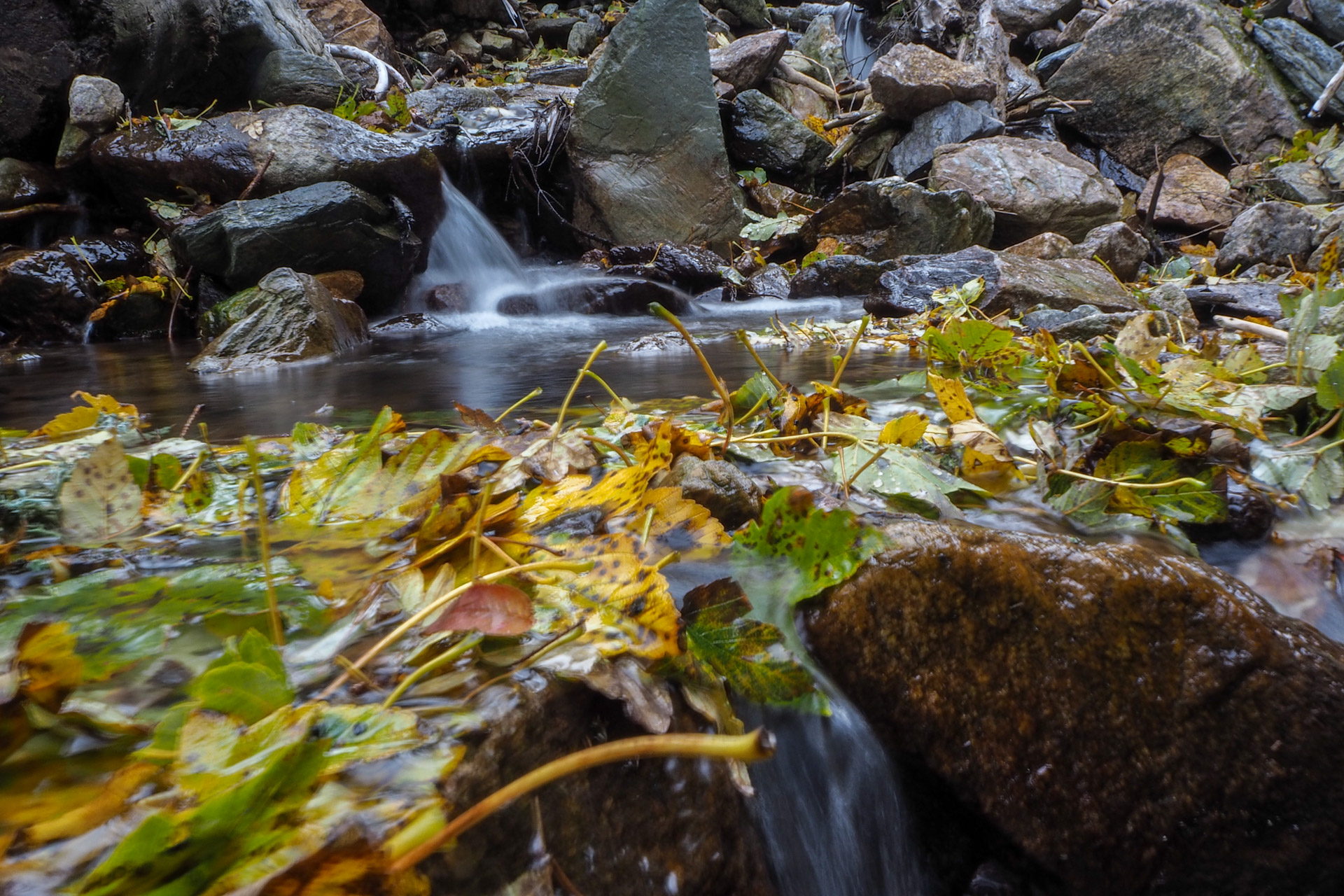 Veľký Bok z Malužinej (Nízke Tatry)