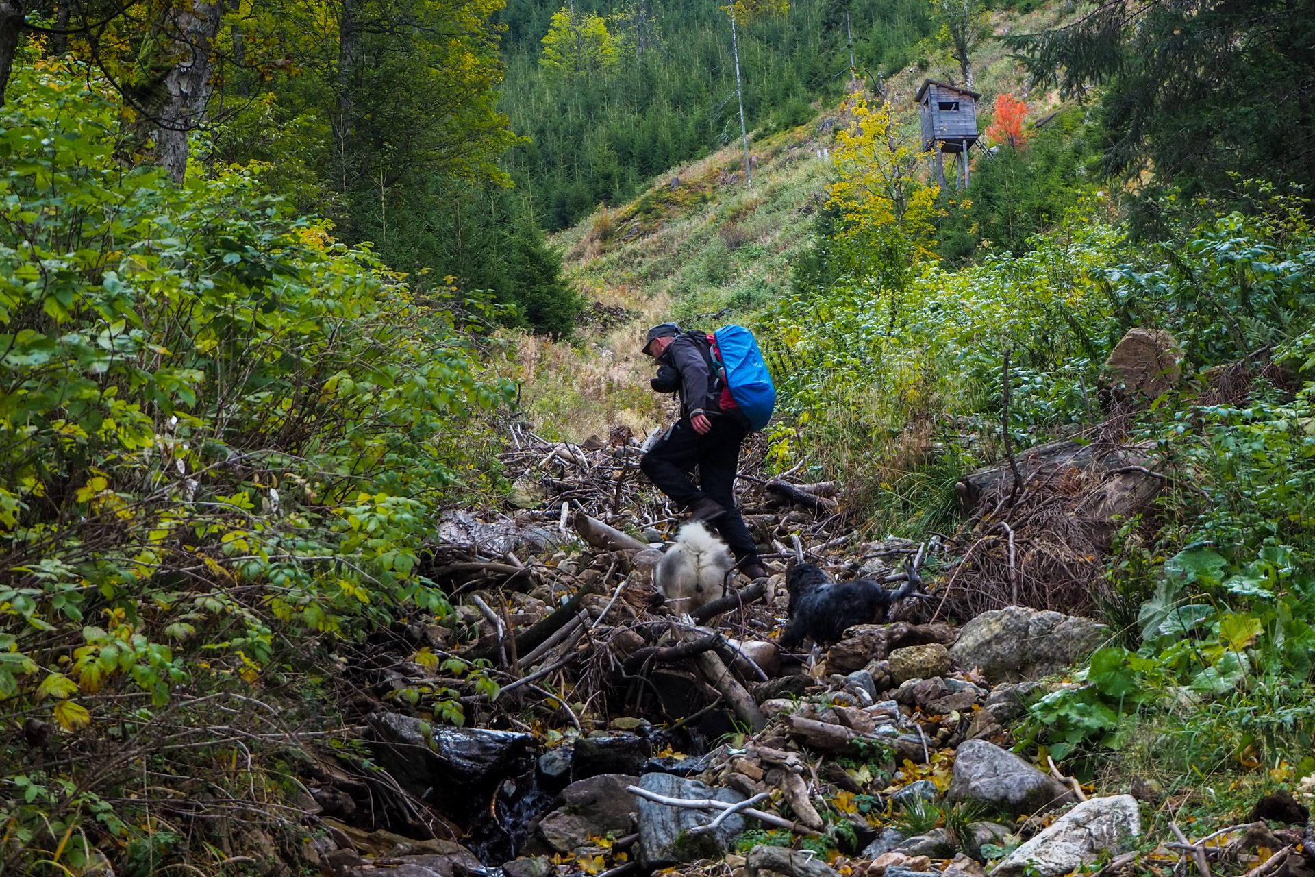 Veľký Bok z Malužinej (Nízke Tatry)