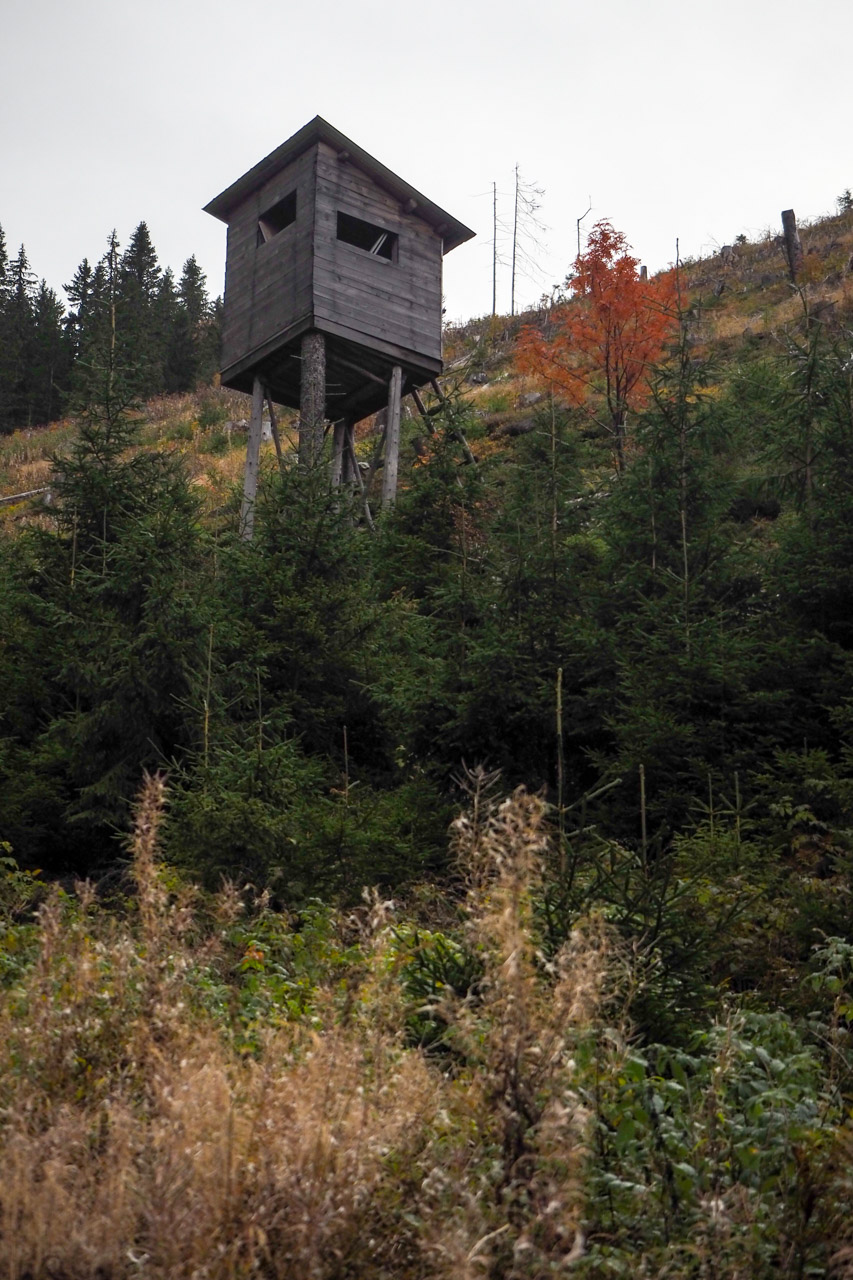 Veľký Bok z Malužinej (Nízke Tatry)