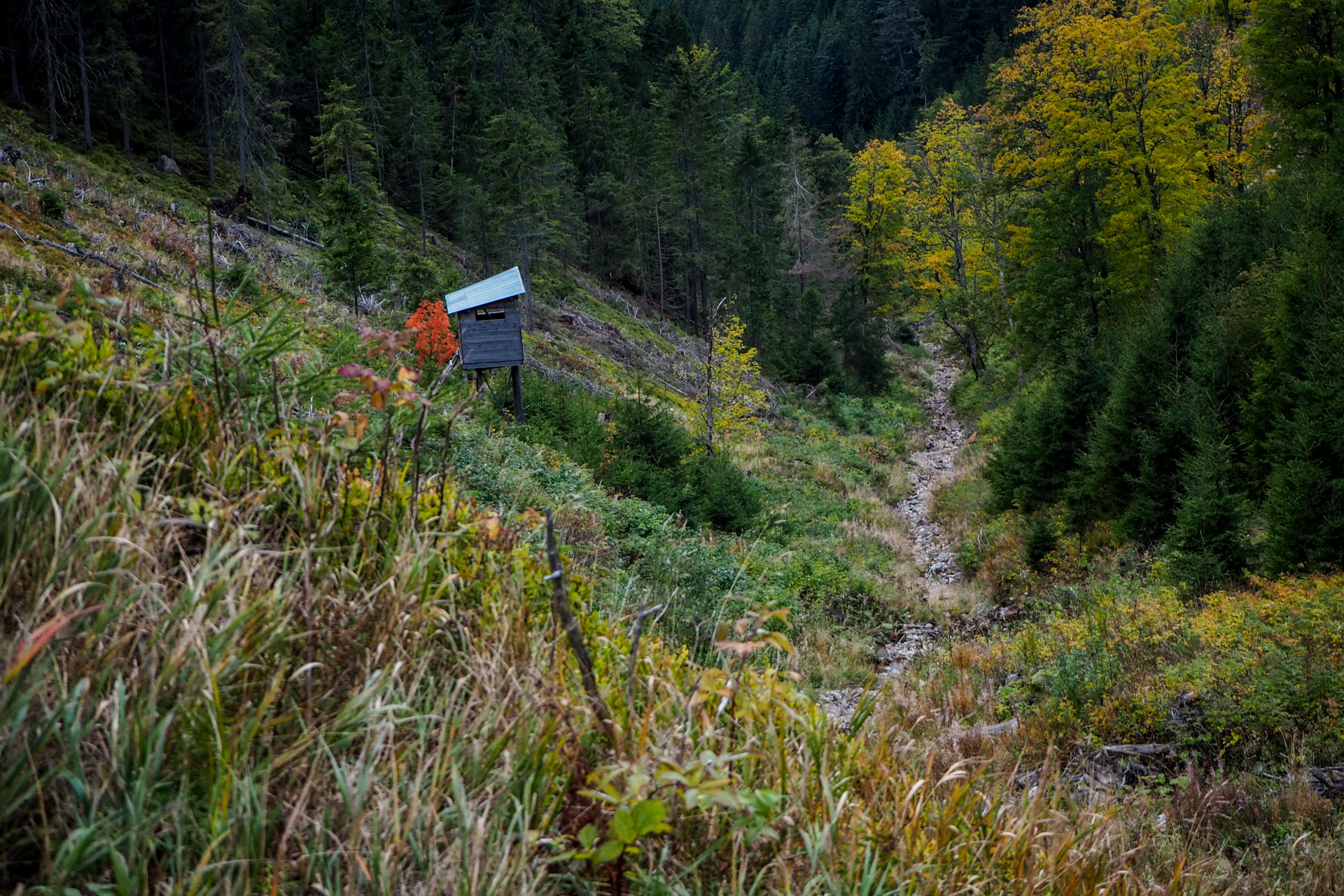 Veľký Bok z Malužinej (Nízke Tatry)