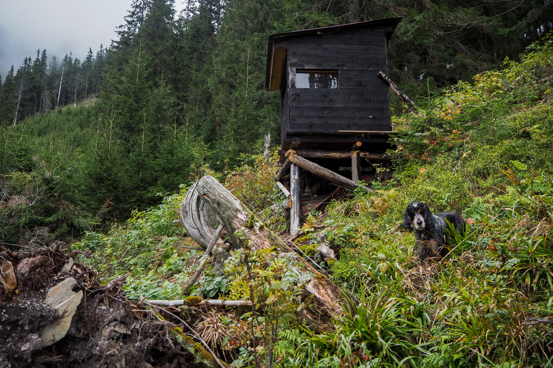 Veľký Bok z Malužinej (Nízke Tatry)