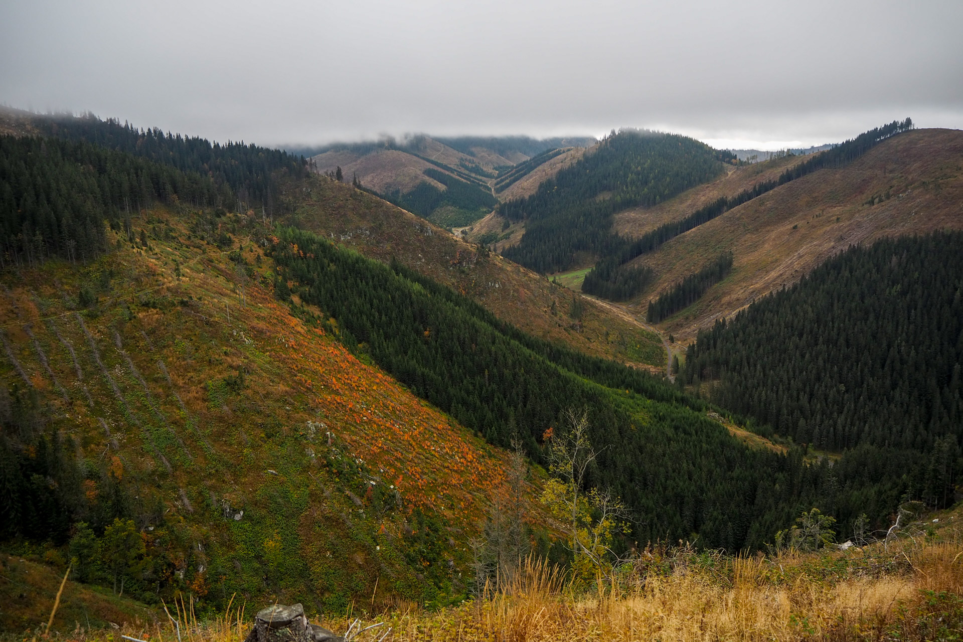 Veľký Bok z Malužinej (Nízke Tatry)