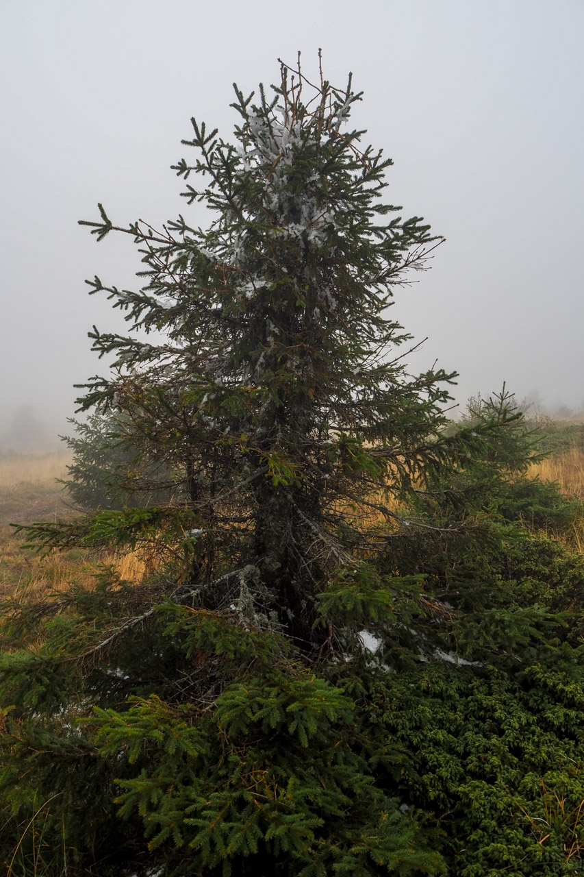 Veľký Bok z Malužinej (Nízke Tatry)