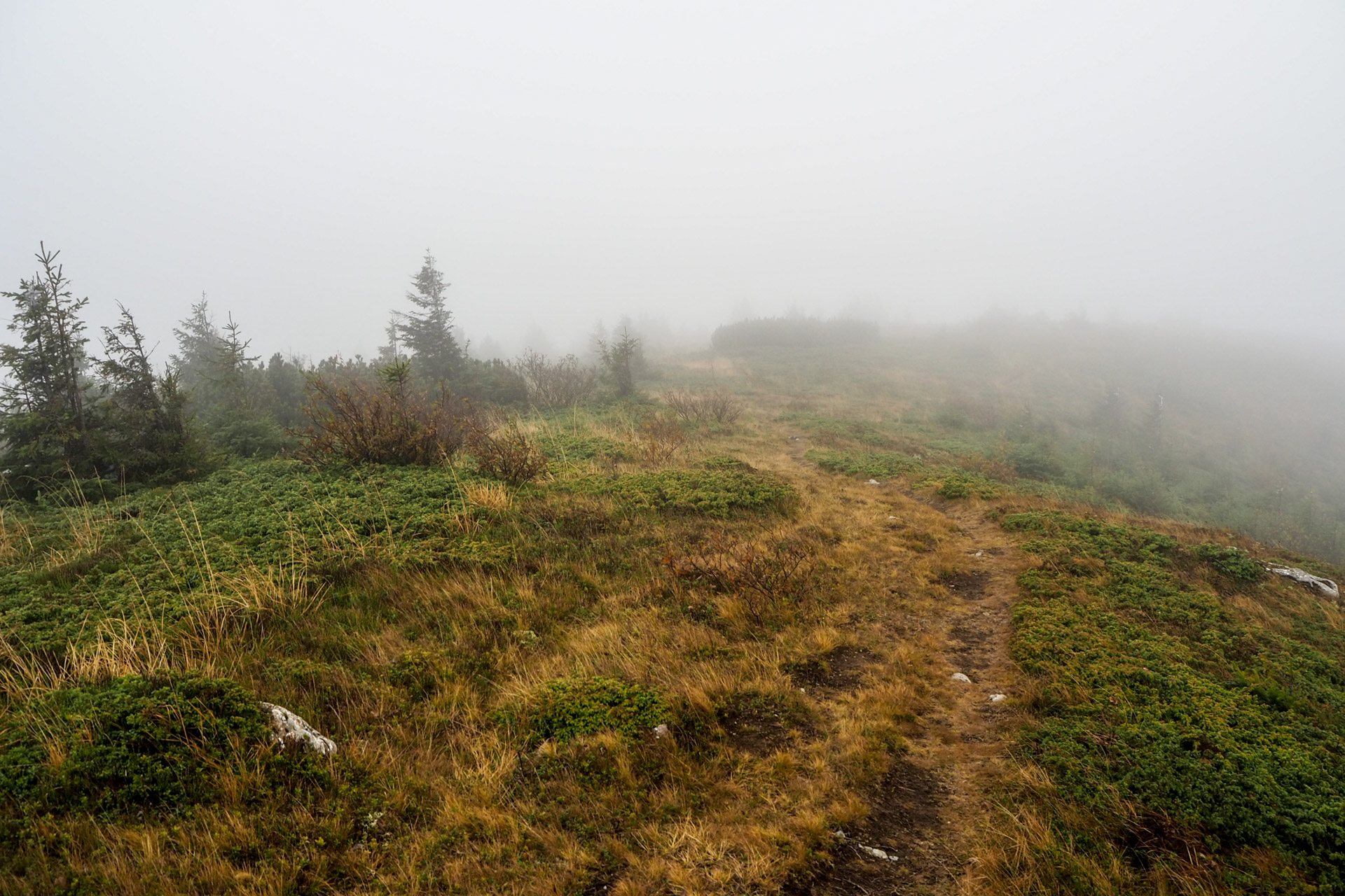 Veľký Bok z Malužinej (Nízke Tatry)