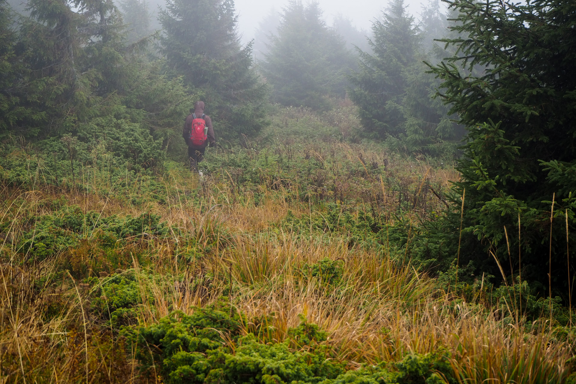 Veľký Bok z Malužinej (Nízke Tatry)