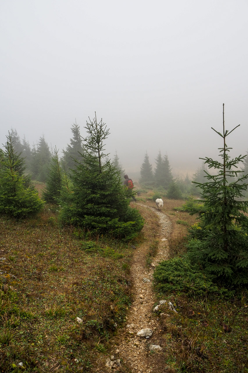 Veľký Bok z Malužinej (Nízke Tatry)