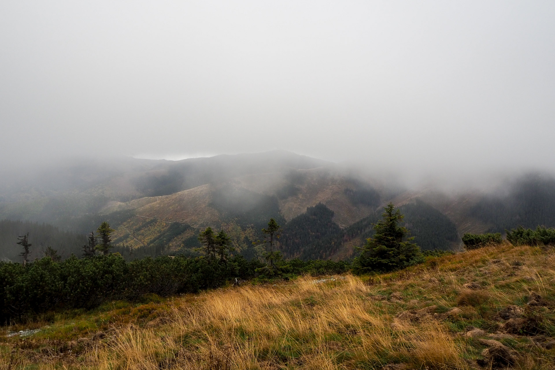 Veľký Bok z Malužinej (Nízke Tatry)