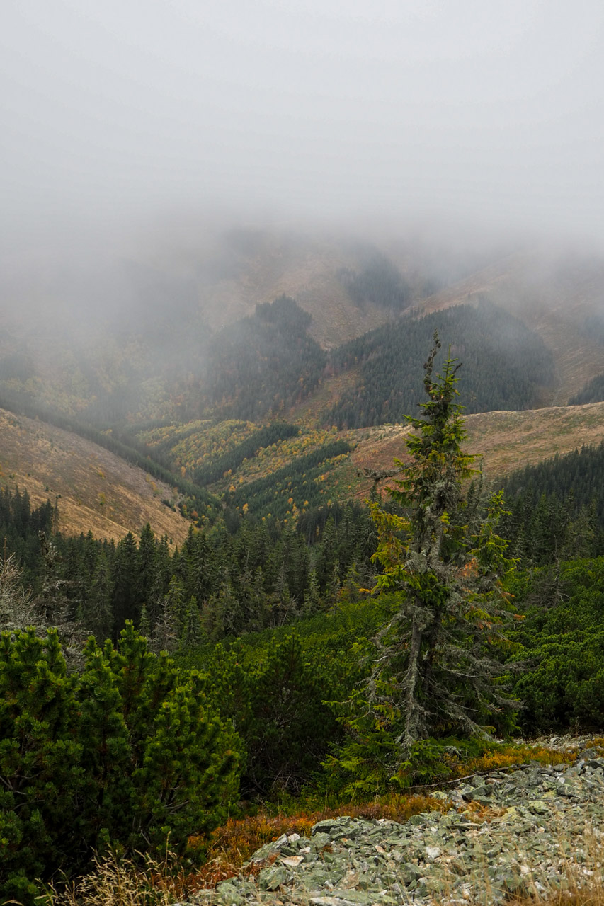 Veľký Bok z Malužinej (Nízke Tatry)