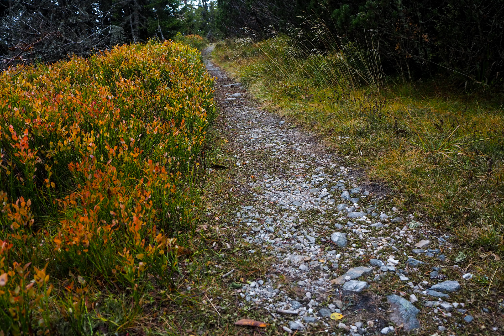 Veľký Bok z Malužinej (Nízke Tatry)