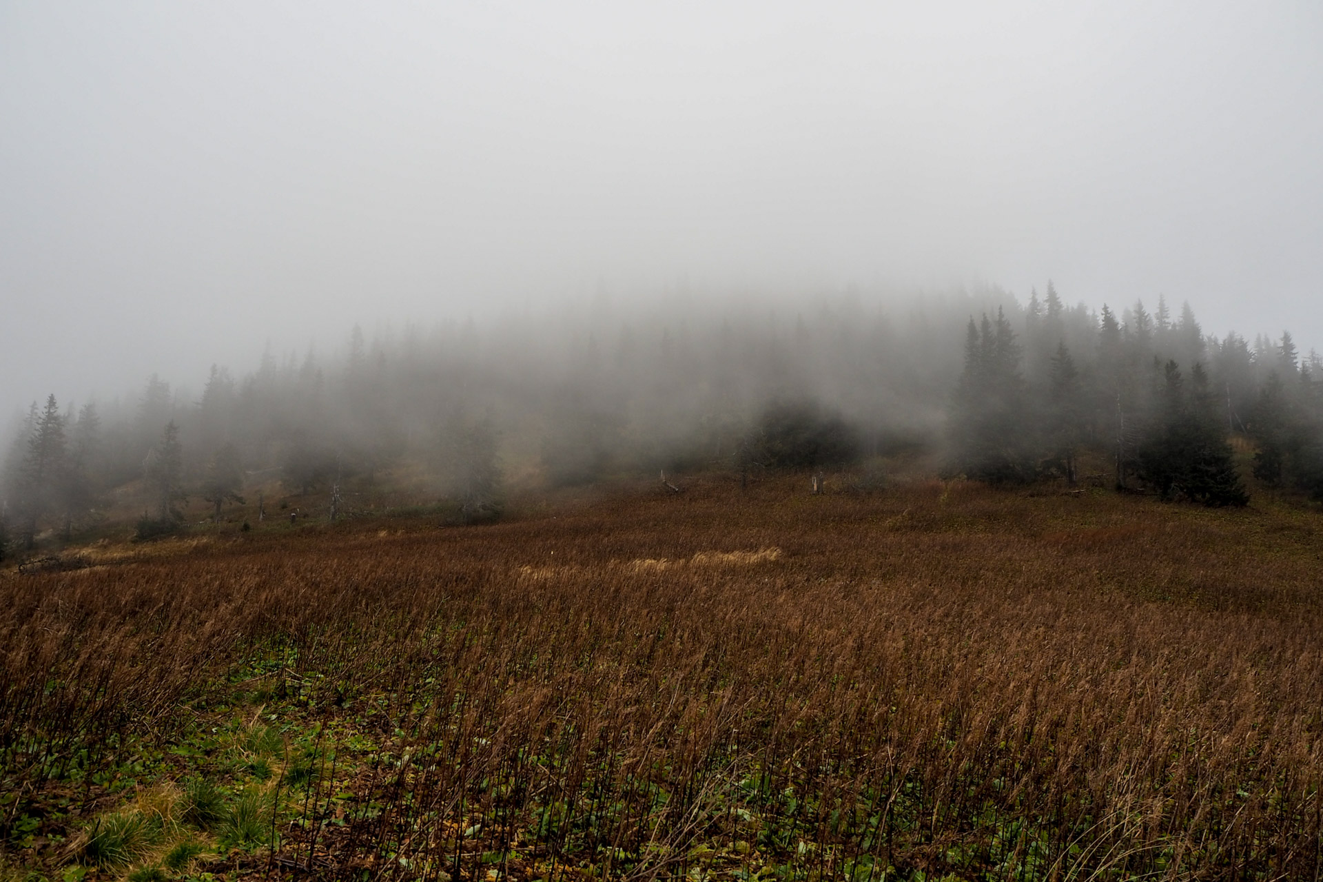 Veľký Bok z Malužinej (Nízke Tatry)