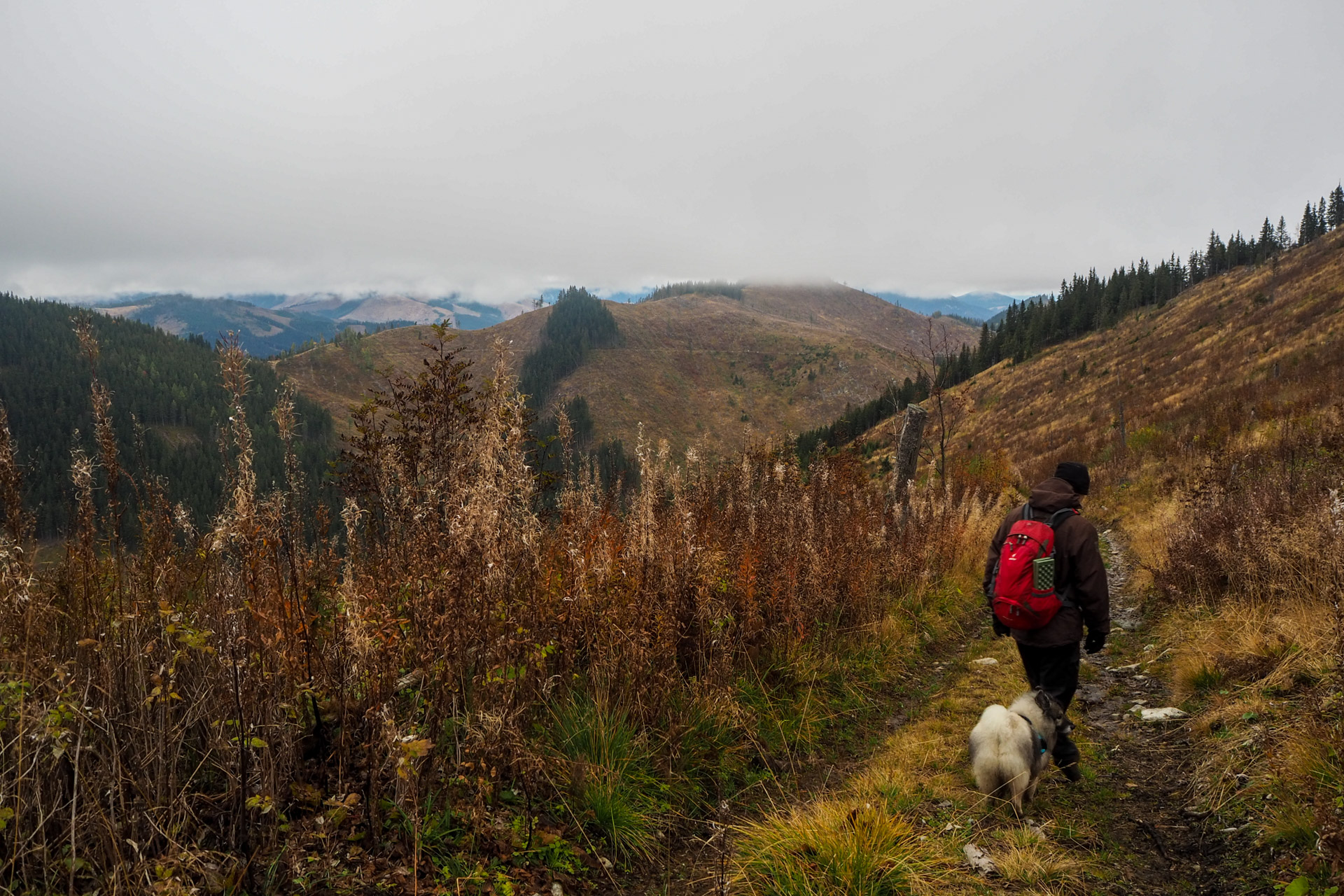 Veľký Bok z Malužinej (Nízke Tatry)