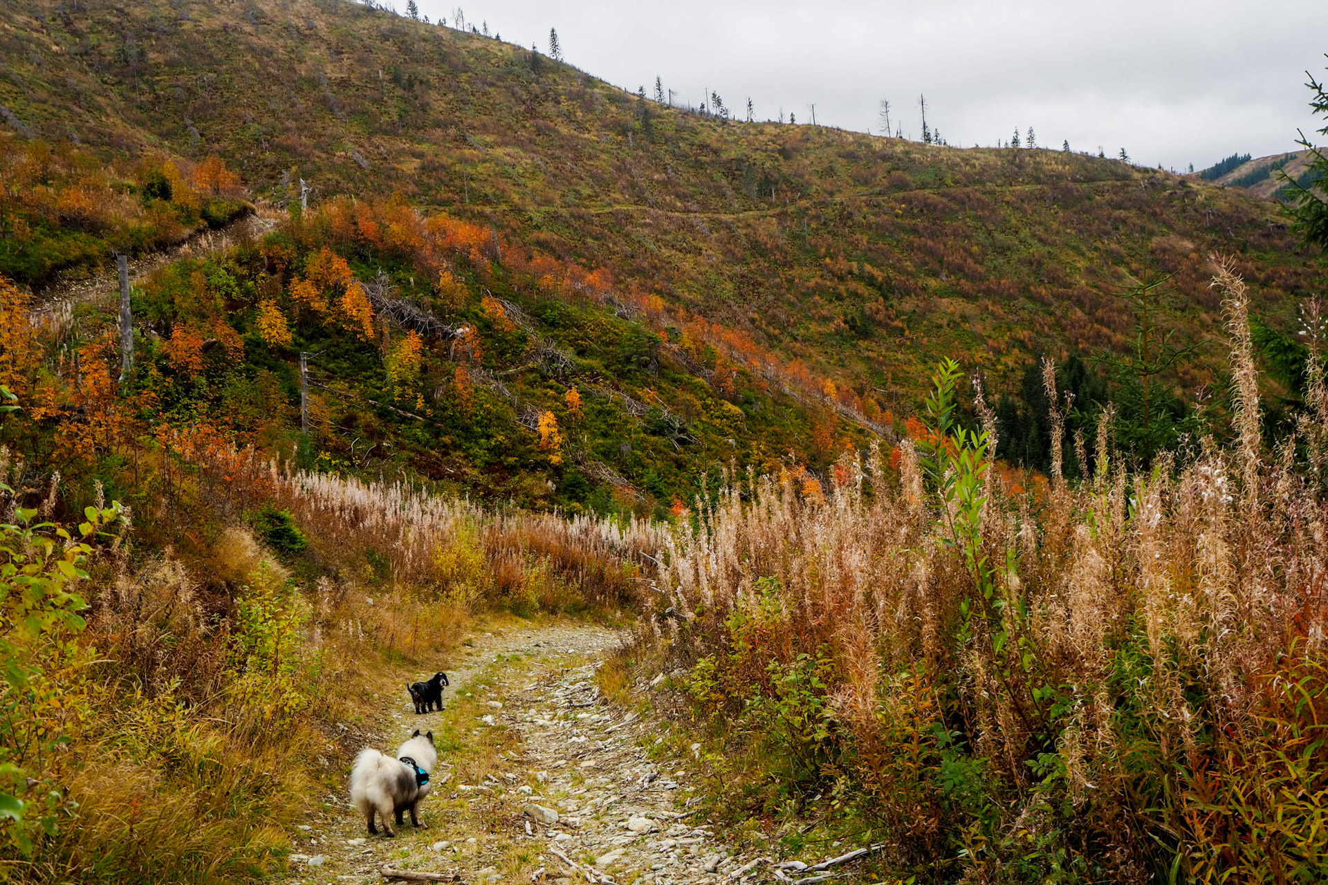 Veľký Bok z Malužinej (Nízke Tatry)