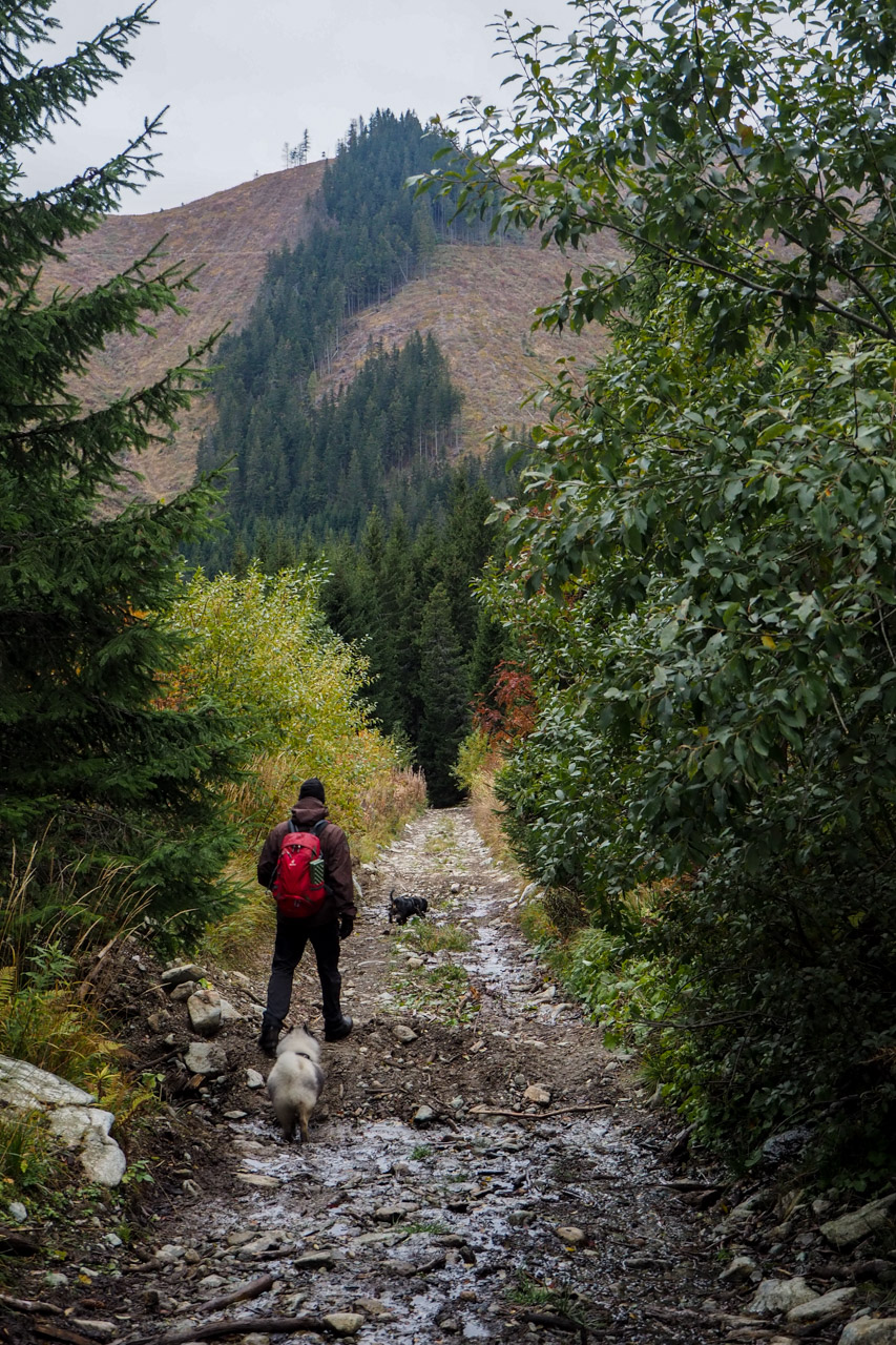 Veľký Bok z Malužinej (Nízke Tatry)