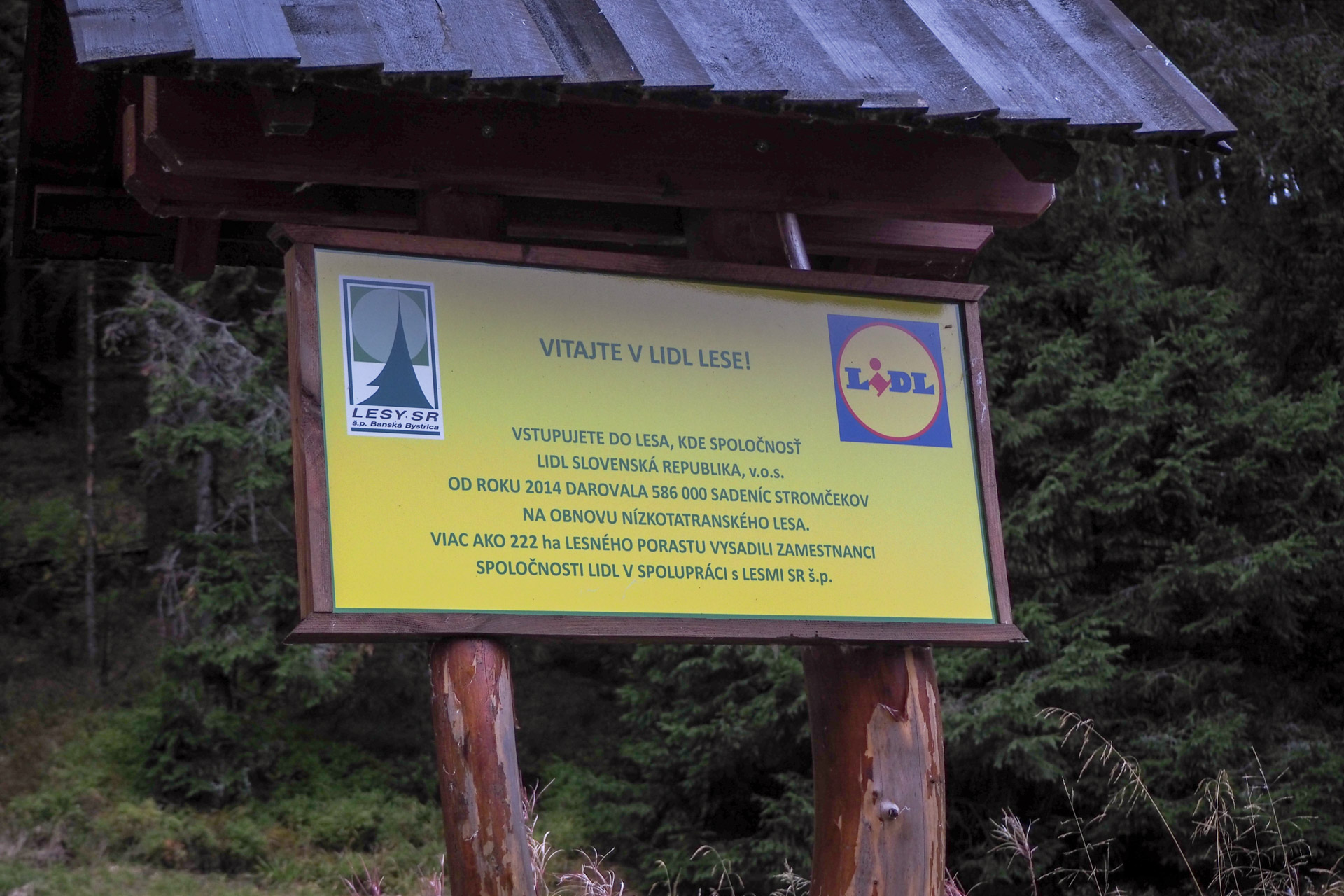 Veľký Bok z Malužinej (Nízke Tatry)