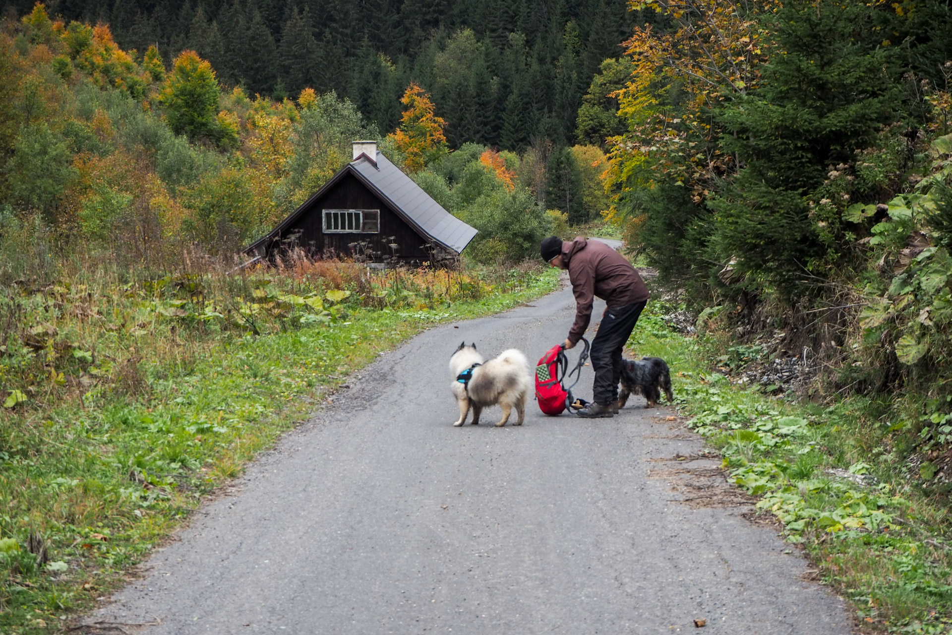 Veľký Bok z Malužinej (Nízke Tatry)