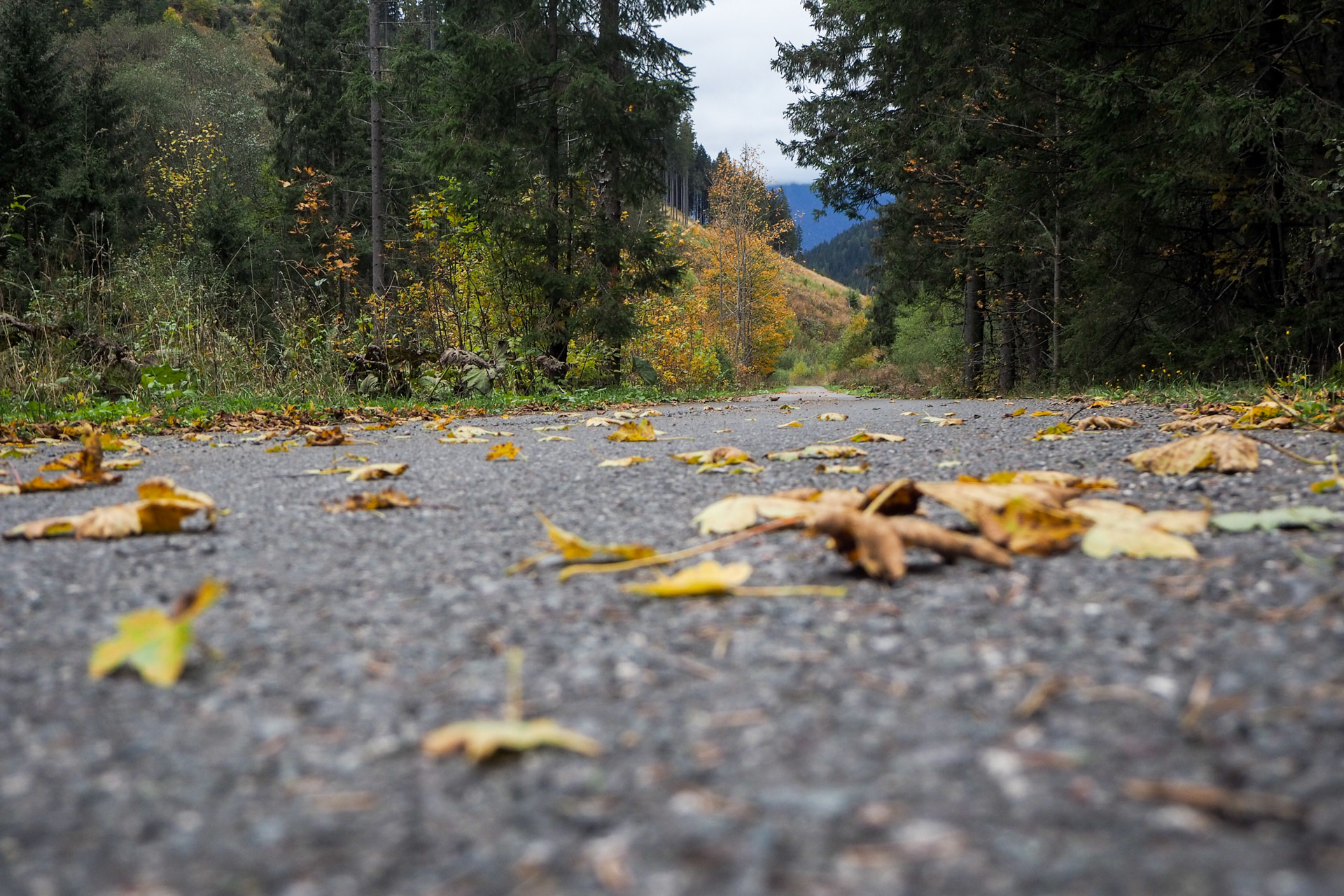 Veľký Bok z Malužinej (Nízke Tatry)