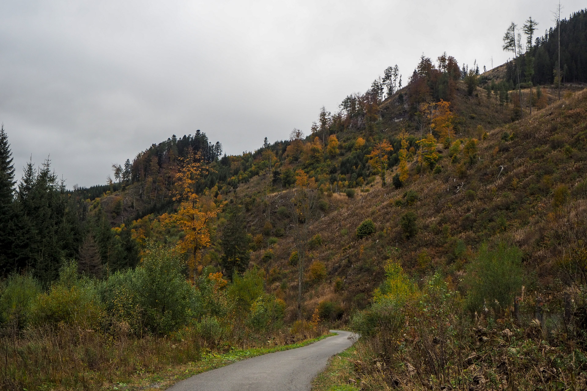 Veľký Bok z Malužinej (Nízke Tatry)