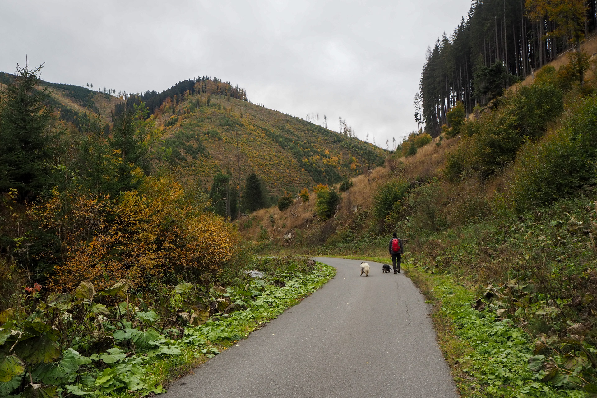 Veľký Bok z Malužinej (Nízke Tatry)